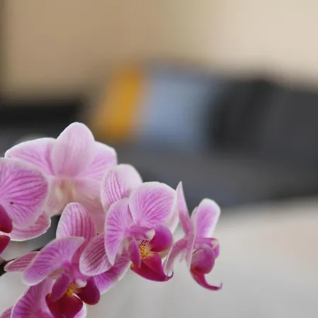 Къща За Гости Крапец