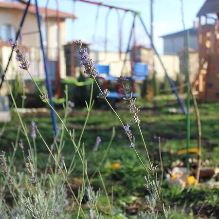 Къща За Гости Крапец קראפץ