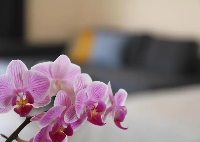 Къща за гости Крапец